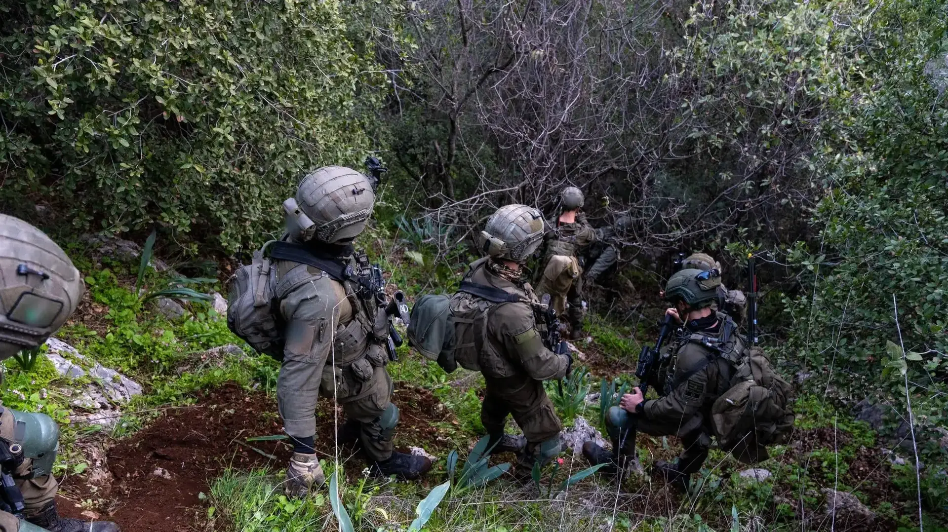 פעילות כוחות חטיבת ׳ההרים׳ (810) בהר דב הלבנוני פעילות כוחות חטיבת ׳ההרים׳ (810) בהר דב הלבנוני