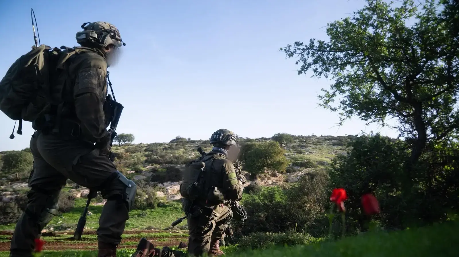 תרגילי אוגדה 162 תרגילי אוגדה 162