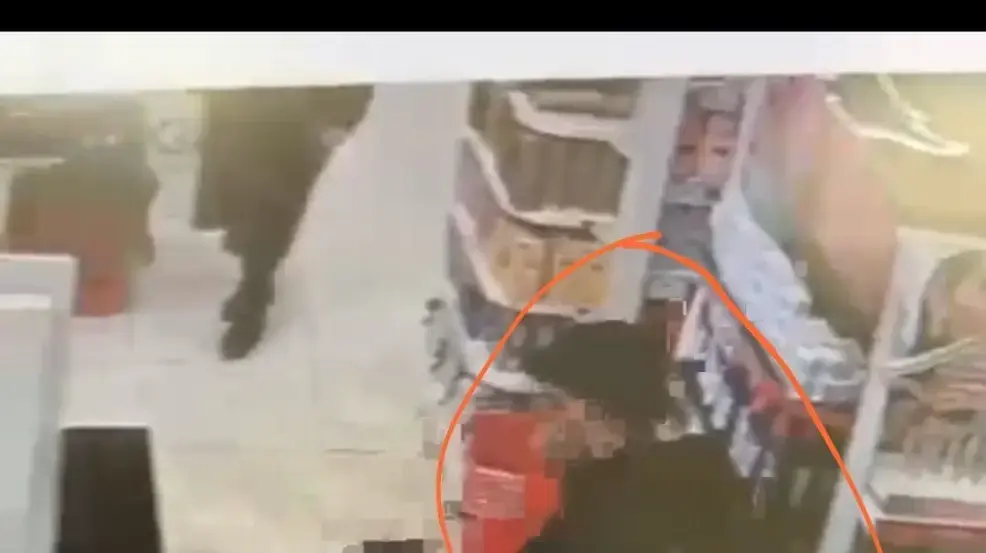 הנאשמים בגניבה בחדרה בשעת מעשה הנאשמים בגניבה בחדרה בשעת מעשה