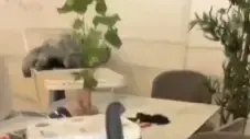 בזמן שהיה במילואים - פורץ השחית את ביתו ונעצר על ידי המשטרה, טירת הכרמל
בזמן שהיה במילואים - פורץ השחית את ביתו ונעצר על ידי המשטרה, טירת הכרמל
