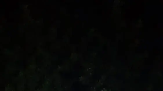 רכב שאיתוראן מצאו רכב שאיתוראן מצאו