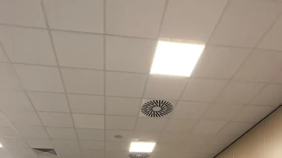 ג'וש אהרונסון וחנה יכין ג'וש אהרונסון וחנה יכין