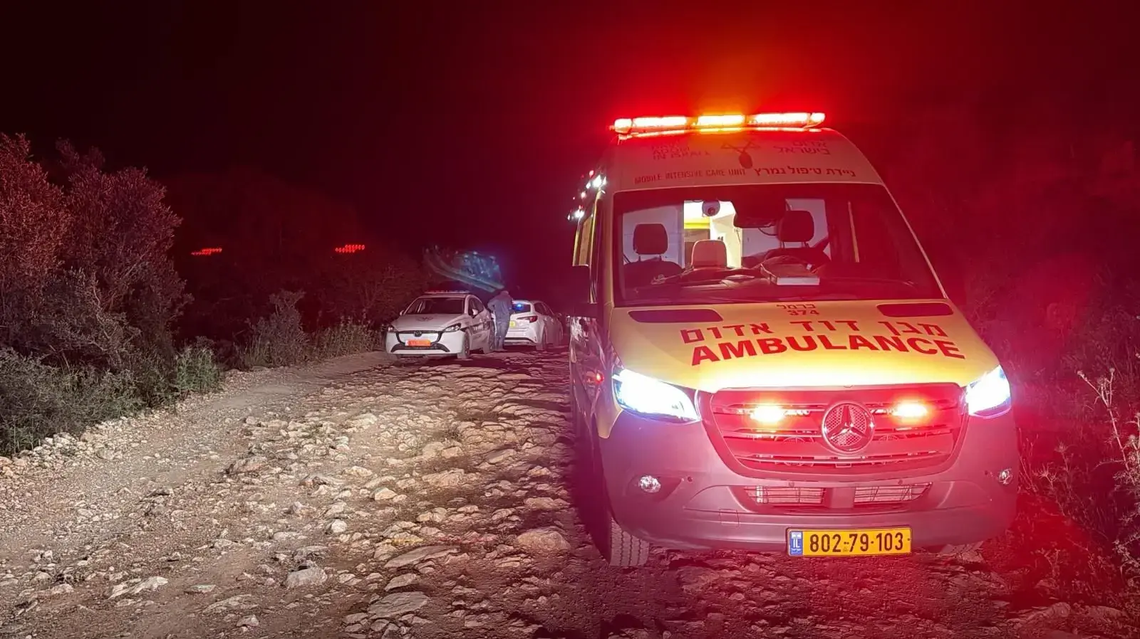 איש עסקים תושב הכרמל נורה למוות, ערב חג נבי שועייב, סמוך לכפר דאלית אל כרמל