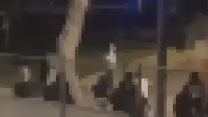 קבוצת התוקפים נמלטת מהגינה