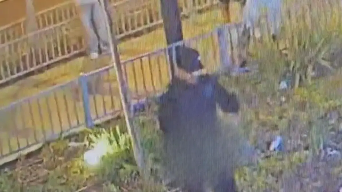 “החשוד ברצח ימנו תועד עם סכין מגואלת בדם בידו” “החשוד ברצח ימנו תועד עם סכין מגואלת בדם בידו”
