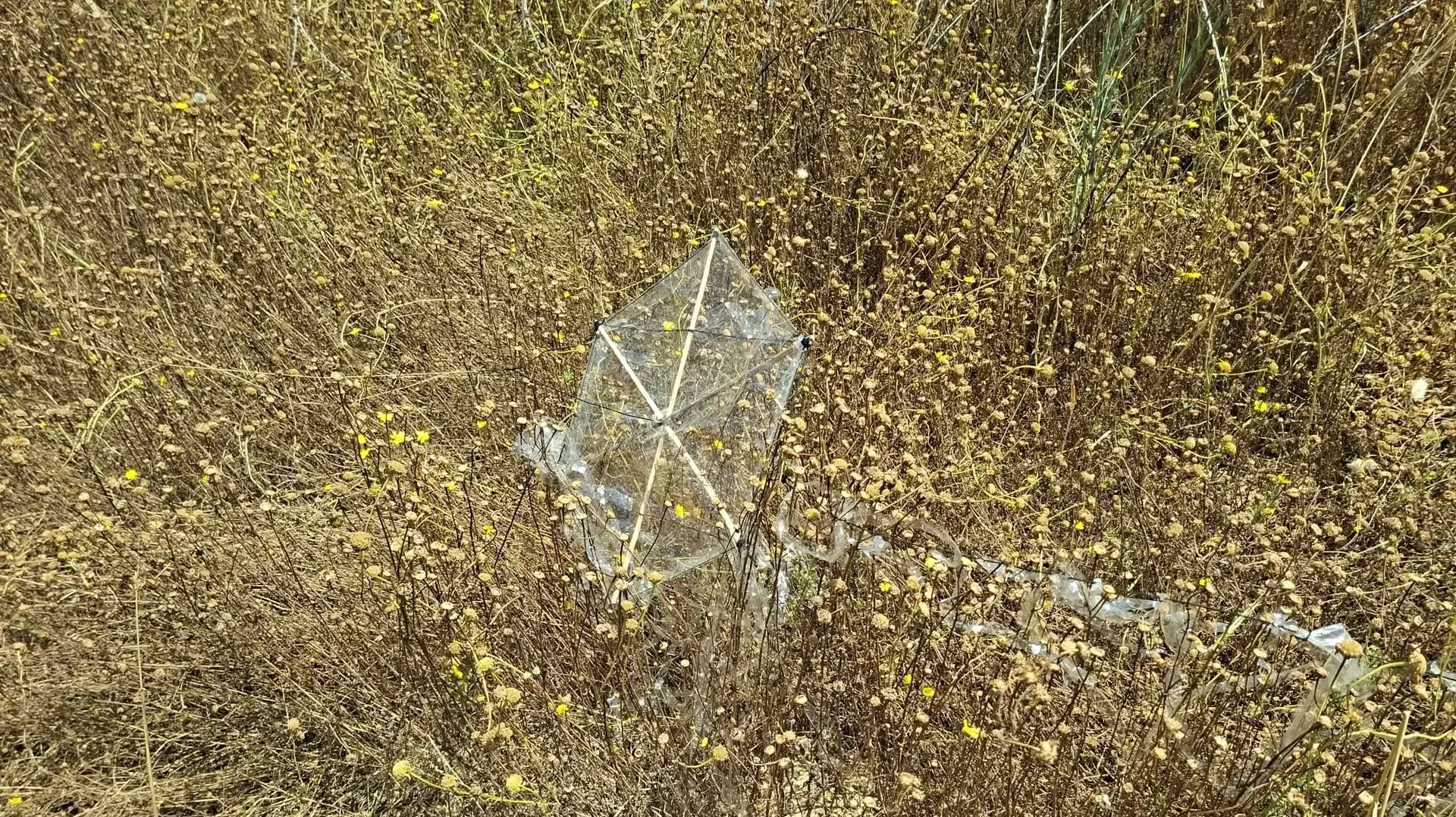 עפיפון מהרצועה שנחת בעוטף עזה עפיפון מהרצועה שנחת בעוטף עזה