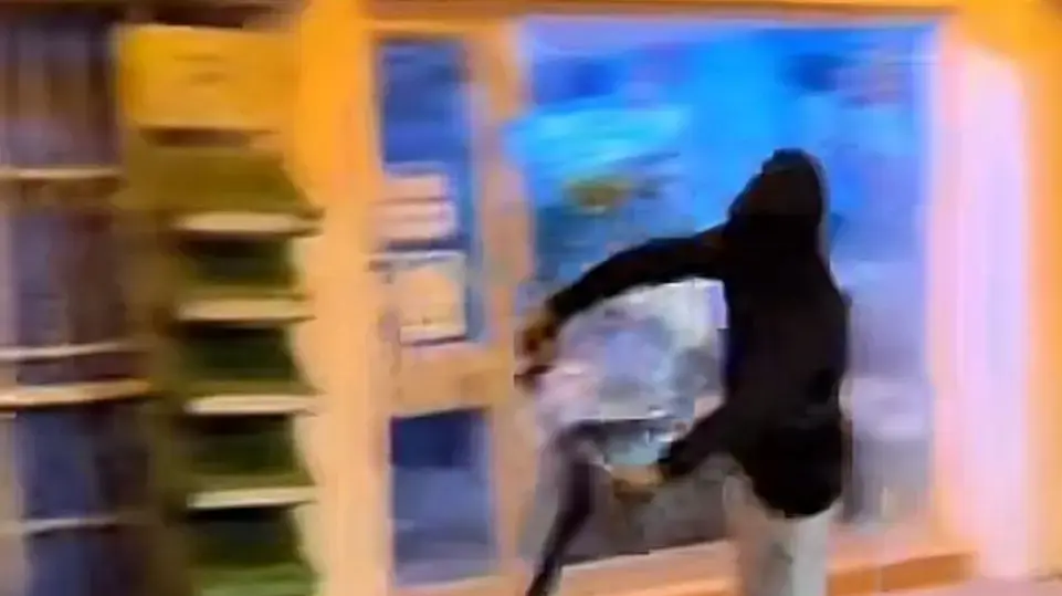 חבר כנופיית ssq חבר כנופיית ssq