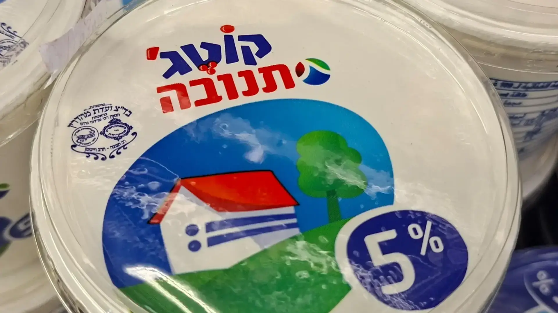 קוטג' תנובה קוטג' תנובה