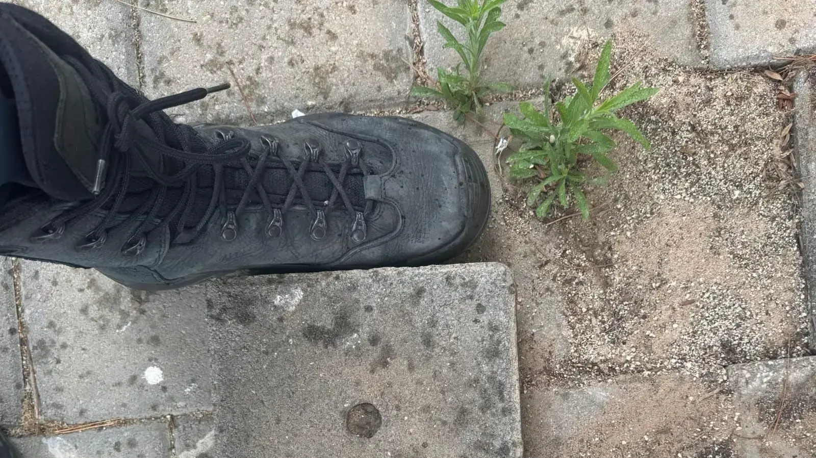 לבנה שהושלכה על ידי נער בן 15 לעבר מאבטח בבי"ס ביפו ופגעה בנערה
8 במאי 2026 לבנה שהושלכה על ידי נער בן 15 לעבר מאבטח בבי"ס ביפו ופגעה בנערה
8 במאי 2026
