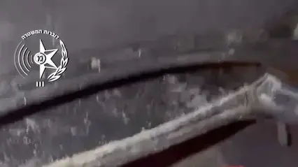 גניבת העופות הגדולה גניבת העופות הגדולה