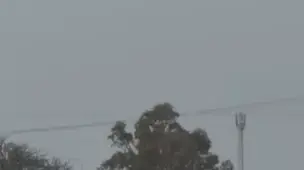 צעירים גנבו כבשה מפזורה בדואית צעירים גנבו כבשה מפזורה בדואית