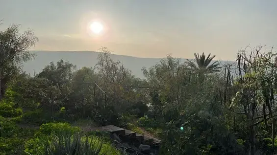 חוות "גן החיים" ביבנאל לפני השריפה