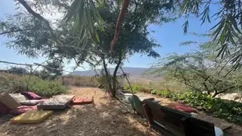 חוות "גן החיים" ביבנאל לפני השריפה חוות "גן החיים" ביבנאל לפני השריפה