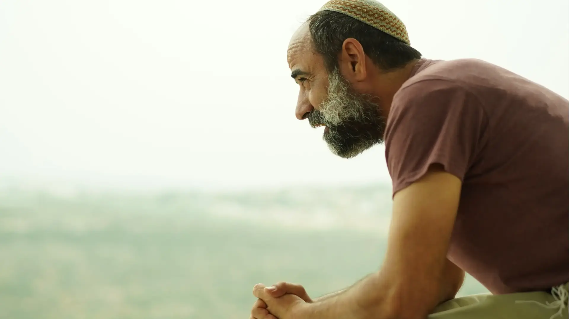 "פאודה 5"