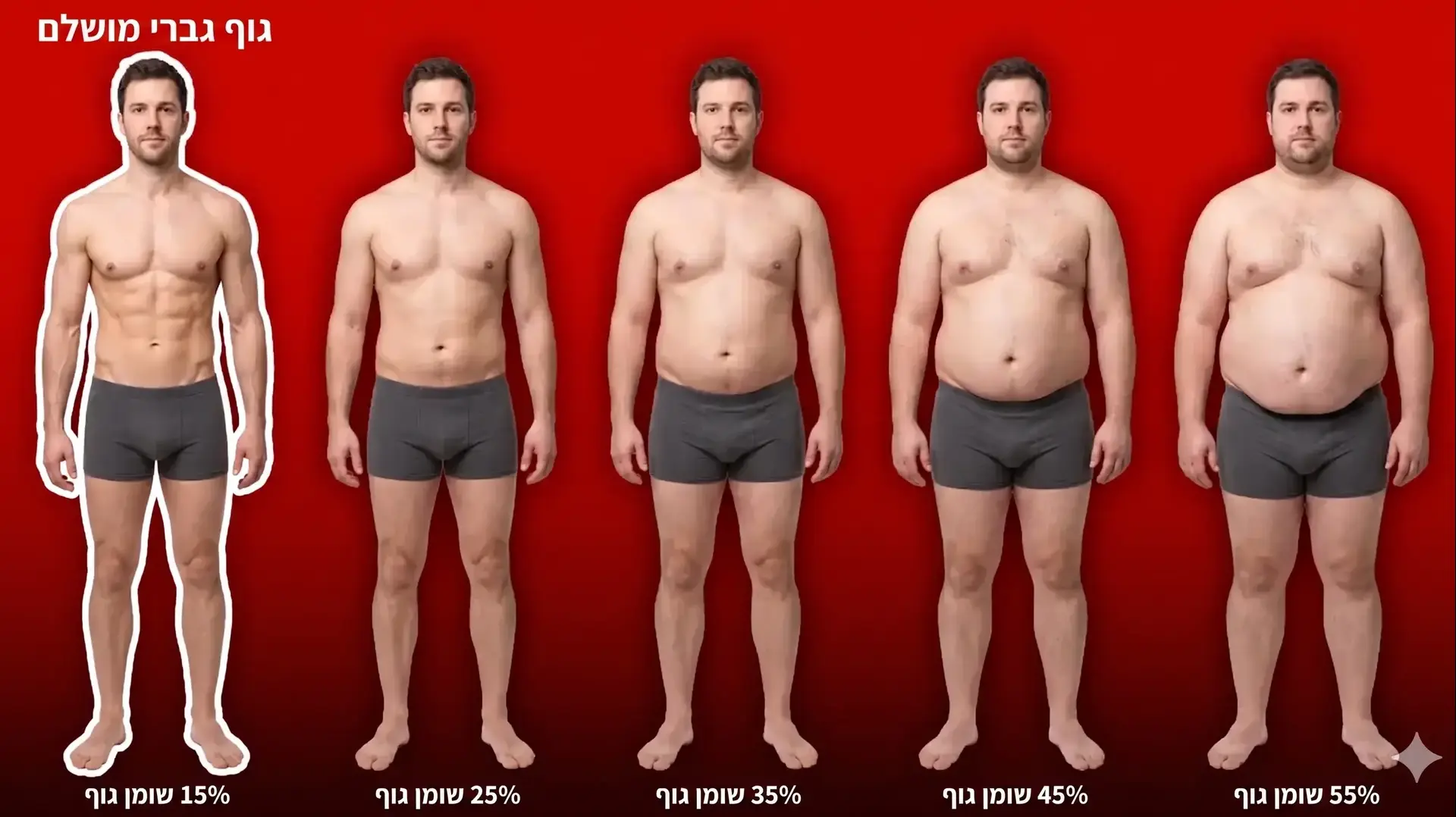 סוגי מבני גוף של גברים סוגי מבני גוף של גברים