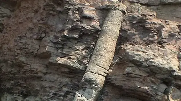 עצים מאובנים העומדים זקופים בתוך שכבות סלע עבות ברחבי ארצות הברית, מציתים מחדש את הוויכוח בשאלה האם המבול המקראי אכן התרחש. עצים מאובנים העומדים זקופים בתוך שכבות סלע עבות ברחבי ארצות הברית, מציתים מחדש את הוויכוח בשאלה האם המבול המקראי אכן התרחש.