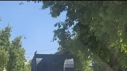 נהג פינוי פסולת באשדוד נתפס פעמיים נוהג בפסילה נהג פינוי פסולת באשדוד נתפס פעמיים נוהג בפסילה