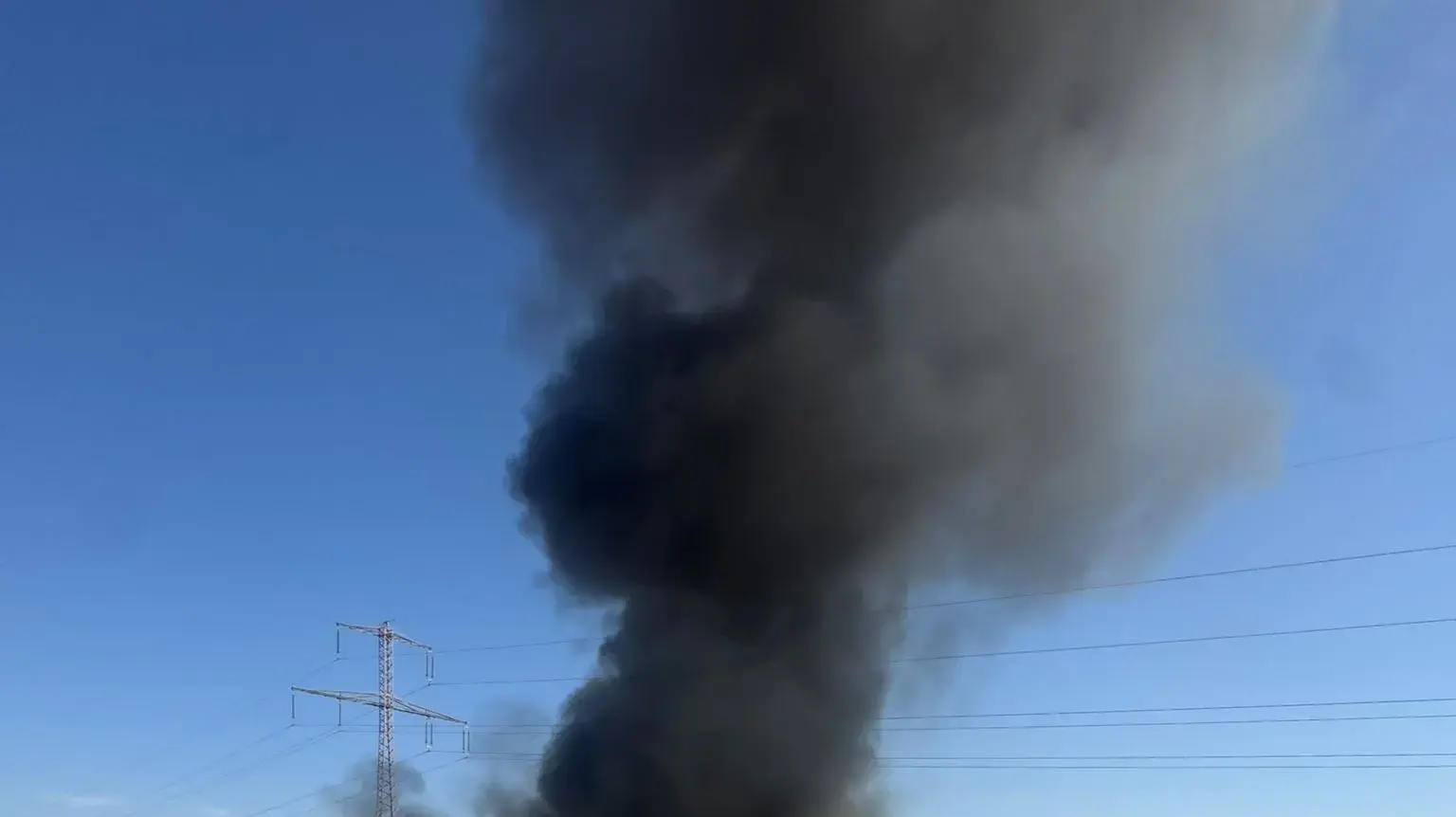 לוחמי האש חילצו גורי חתולים משריפה במבנה בפזורה סמוך לערערה בנגב
לוחמי האש חילצו גורי חתולים משריפה במבנה בפזורה סמוך לערערה בנגב