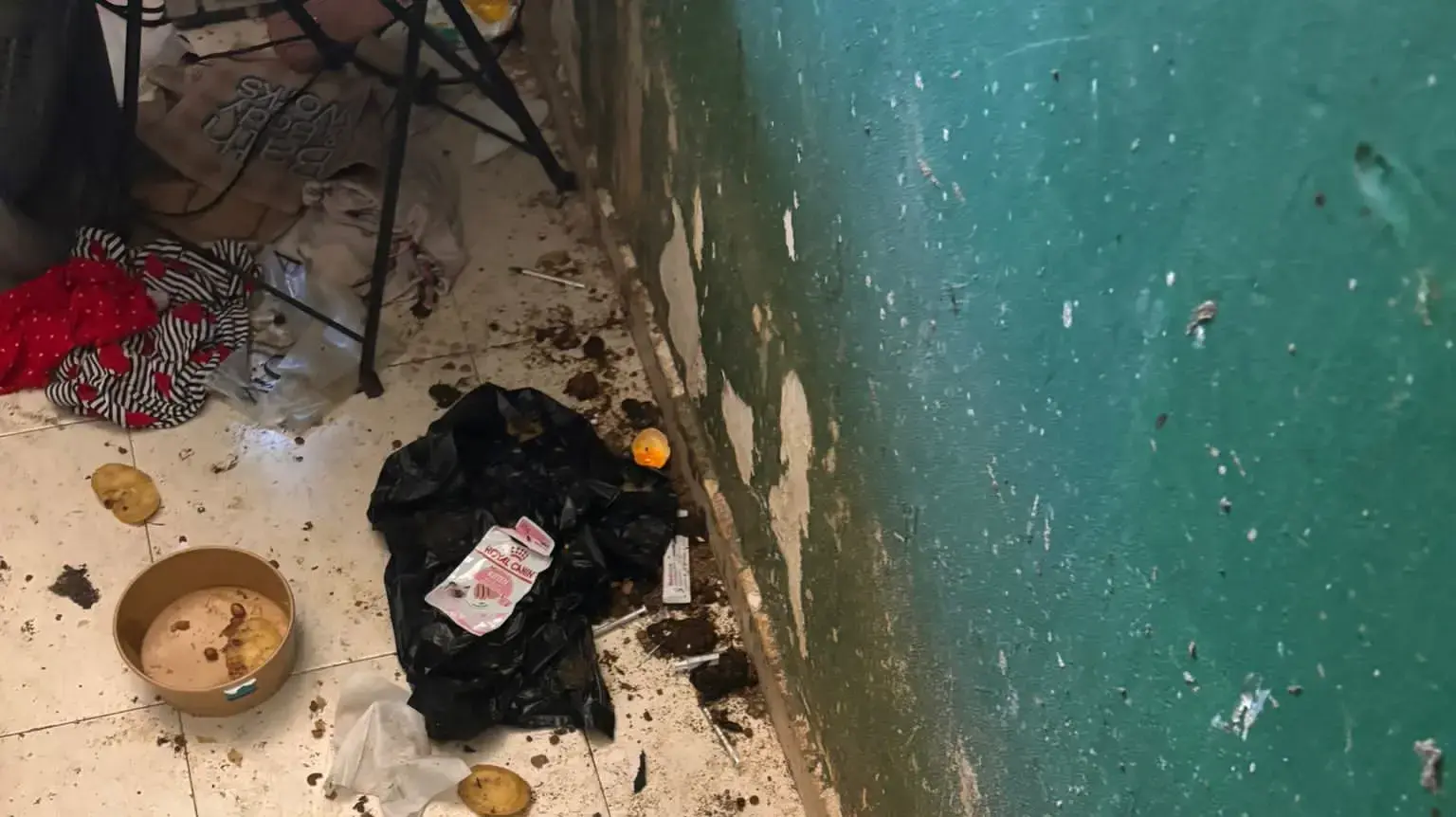 בעלי חיים שהוחזקו בתנאים קשים בדירה בבאר שבע, חשודה עוכבה לחקירה בעלי חיים שהוחזקו בתנאים קשים בדירה בבאר שבע, חשודה עוכבה לחקירה