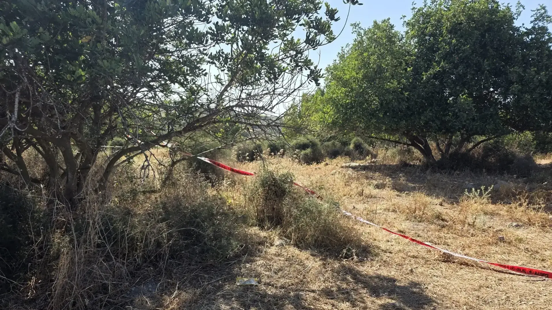 זירת רצח הזוג אולגה ורוסלן פריחודקו סמוך למשמר איילון זירת רצח הזוג אולגה ורוסלן פריחודקו סמוך למשמר איילון