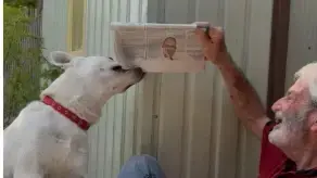 ההרוג בתחנת הדלק גבי קמין