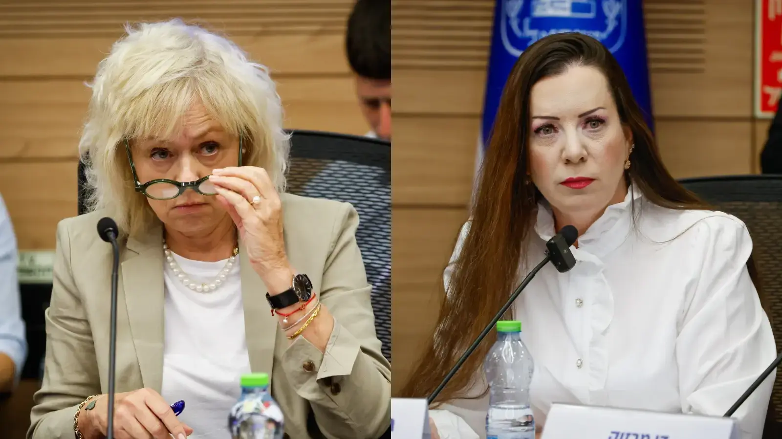 טלי גוטליב, יועמ"שית גלי בהרב מיארה טלי גוטליב, יועמ"שית גלי בהרב מיארה
