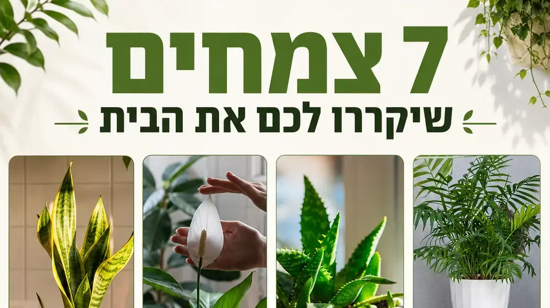 שבעה צמחים שיקררו לכם את הבית שבעה צמחים שיקררו לכם את הבית
