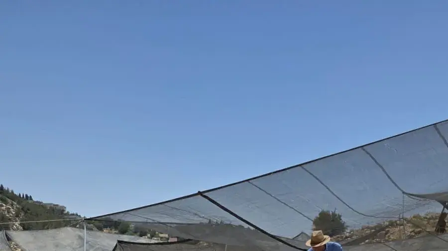ממצא יוצא דופן בשילה הקדומה: נחשפו כדים בני אלפי שנים