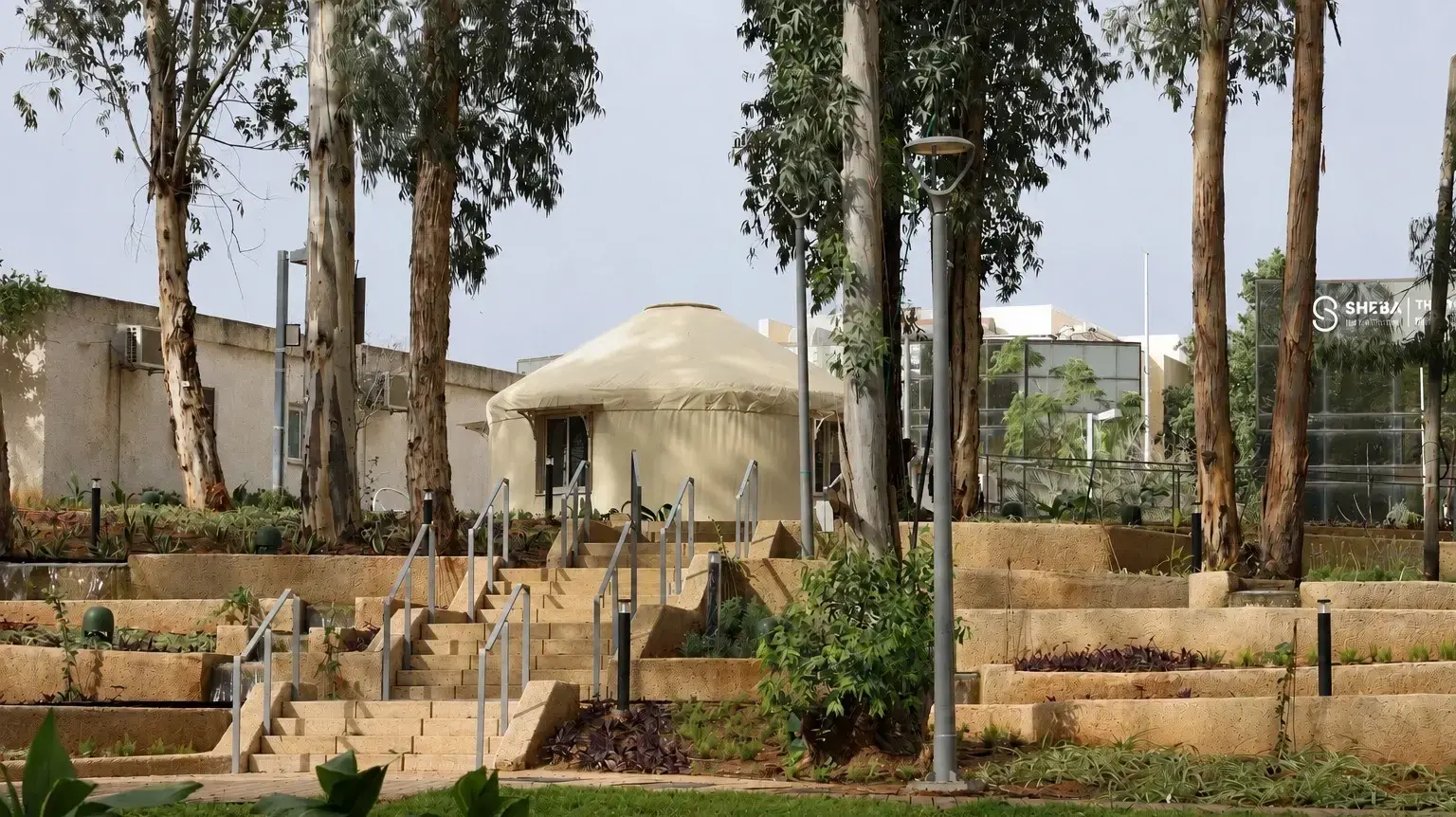 האלמנט החמישי בשיבא