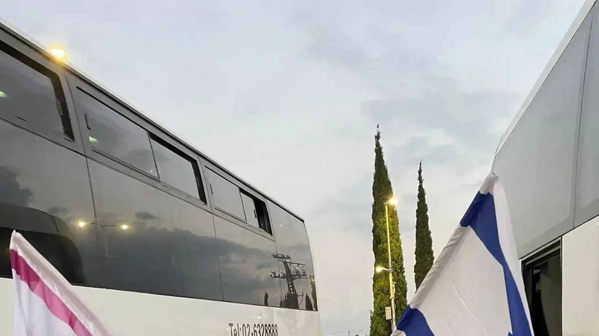 באסל סויד באסל סויד