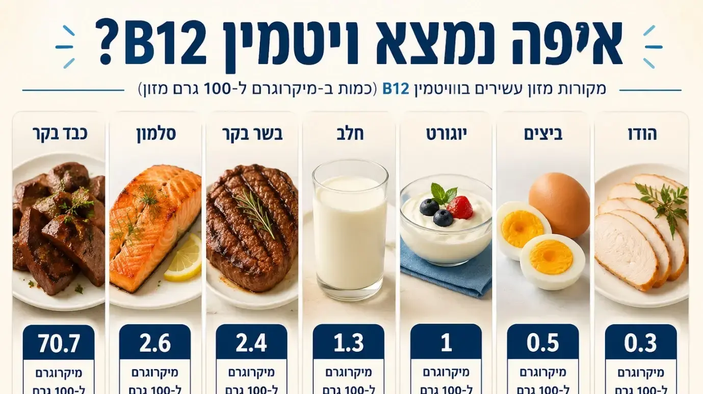 איפה נמצא ויטמין B12 איפה נמצא ויטמין B12