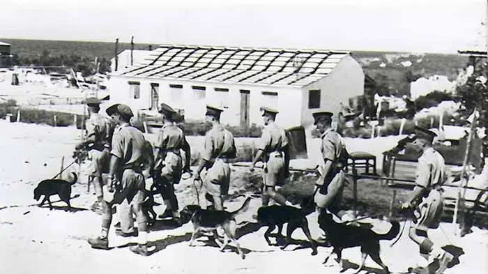 חיפוש נשק בשדות ים בשבת השחורה חיפוש נשק בשדות ים בשבת השחורה