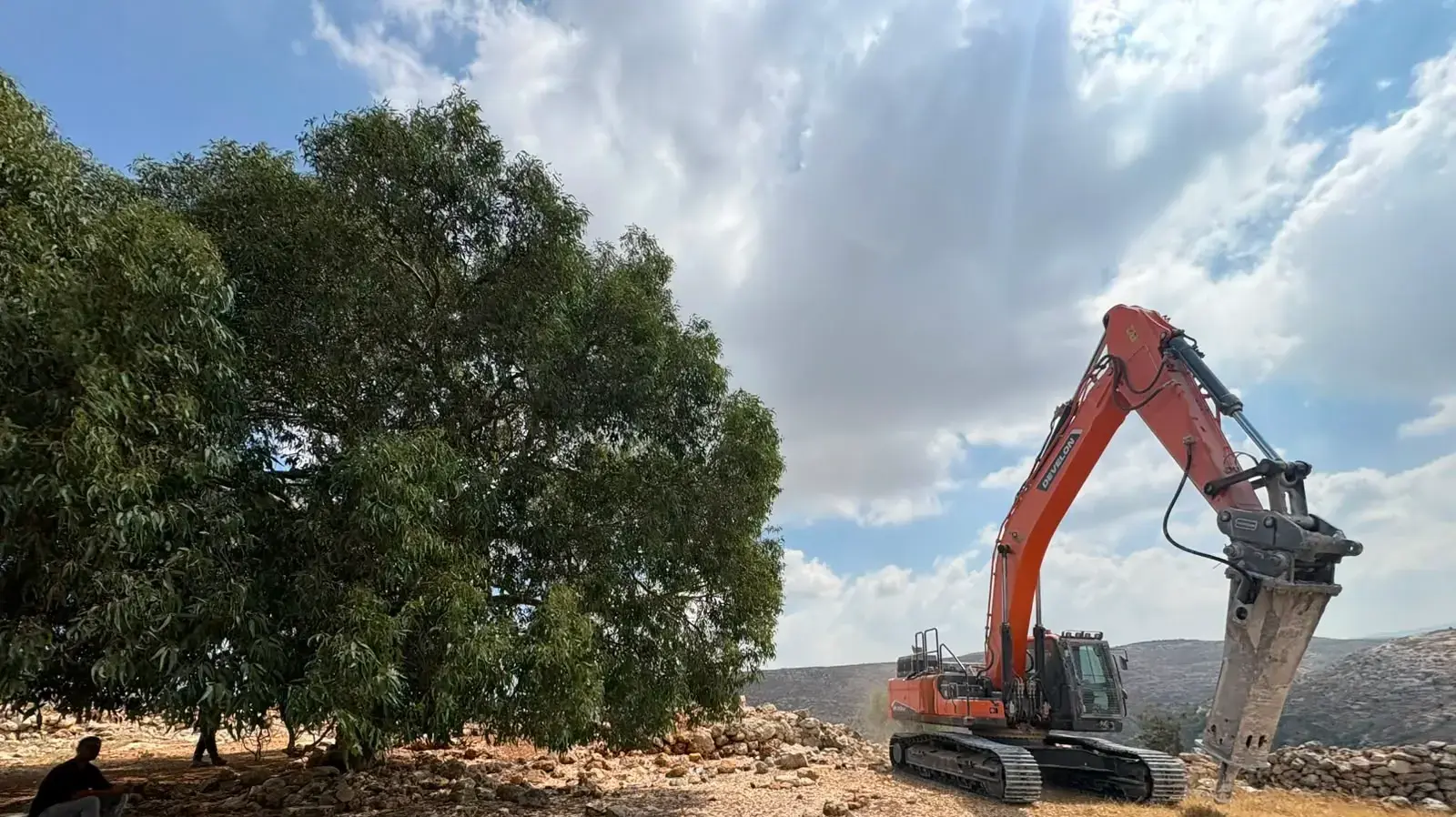 הקמת היישוב נטוף
