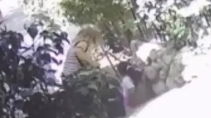 ילדה בת שמונה שהותקפה על ידי כלבים ילדה בת שמונה שהותקפה על ידי כלבים