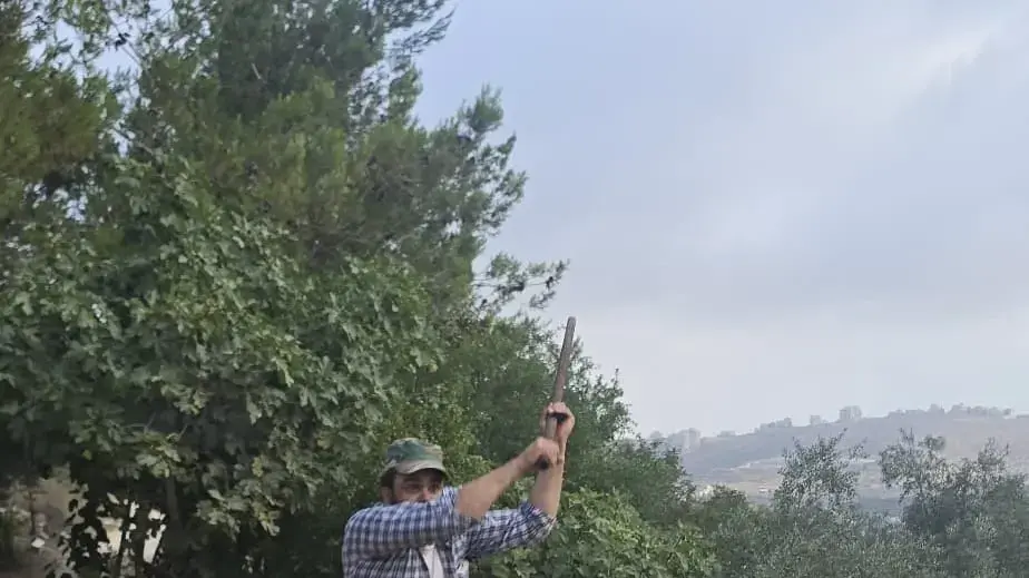 פיגוע ירי בחוות גלעד פיגוע ירי בחוות גלעד