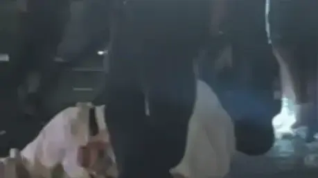 במצעד הגאווה בברלין: הרוג ו-15 פצועים באירוע דריסה במצעד הגאווה בברלין: הרוג ו-15 פצועים באירוע דריסה