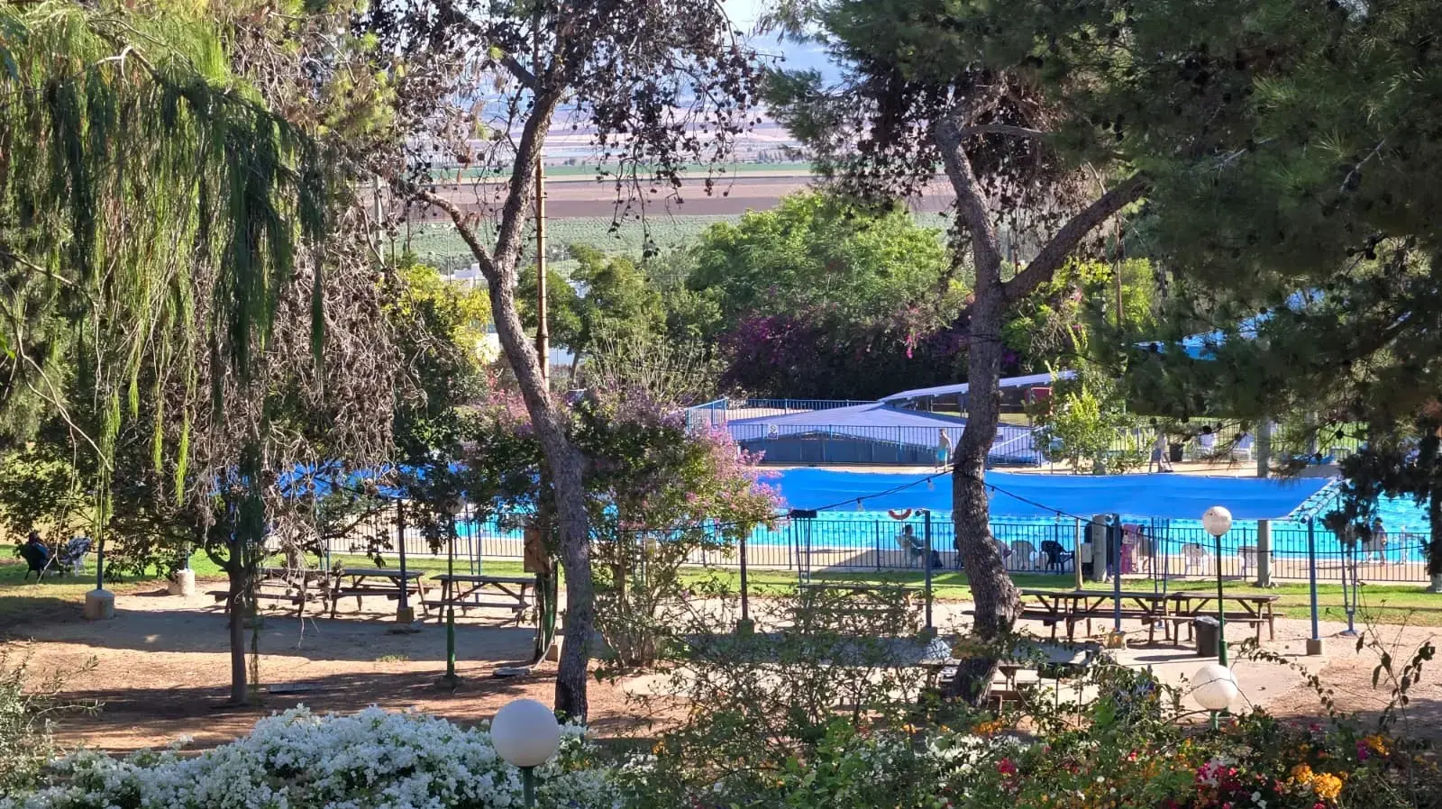 הבריכה של קיבוץ גבת הבריכה של קיבוץ גבת
