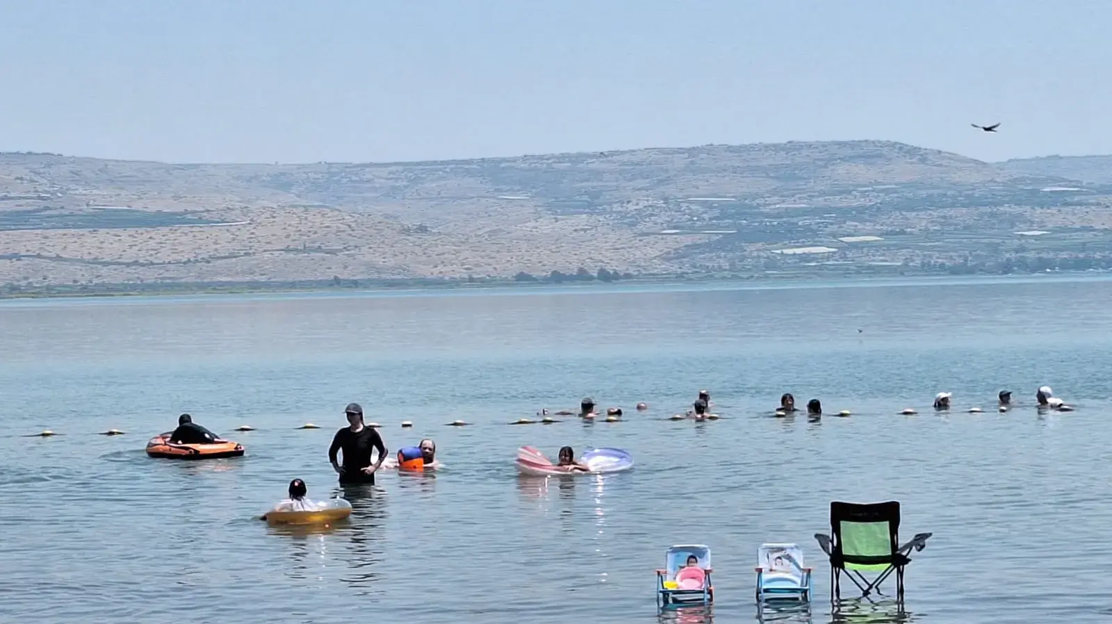 חוף אמנון, הכנרת
