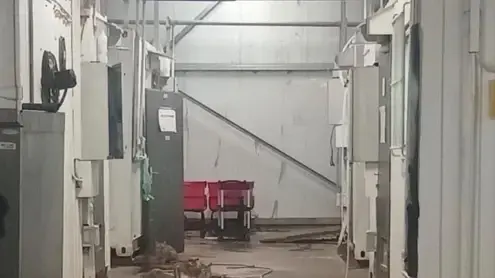 "צחנה, נבלות וחולדות": הזנחה תברואתית קיצונית במחנה צנובר ברמת הגולן