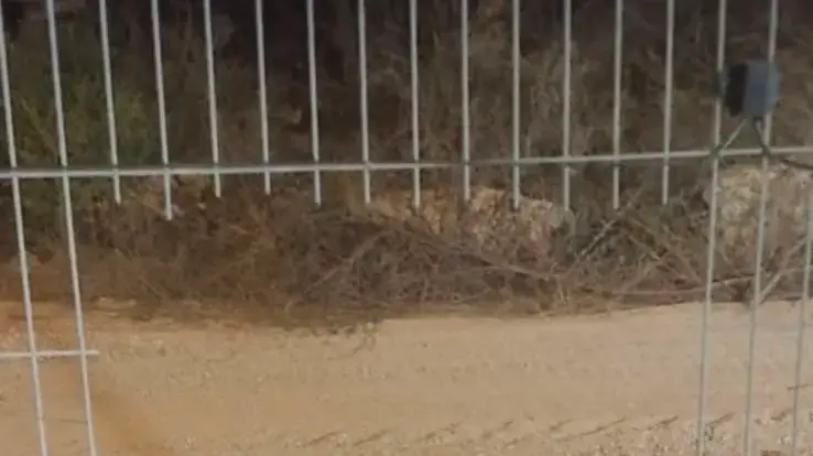 פרצה בגדר ההפרדה בקיבוץ זיקים פרצה בגדר ההפרדה בקיבוץ זיקים