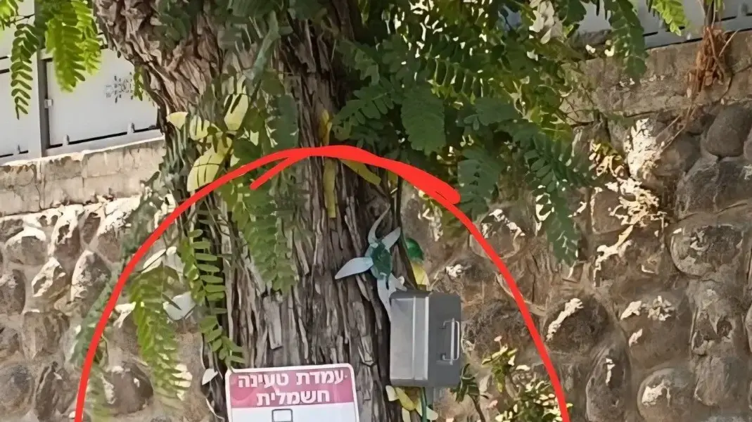 "עץ טעינה" טעינת רכבים חשמליים בצורה פיראטית