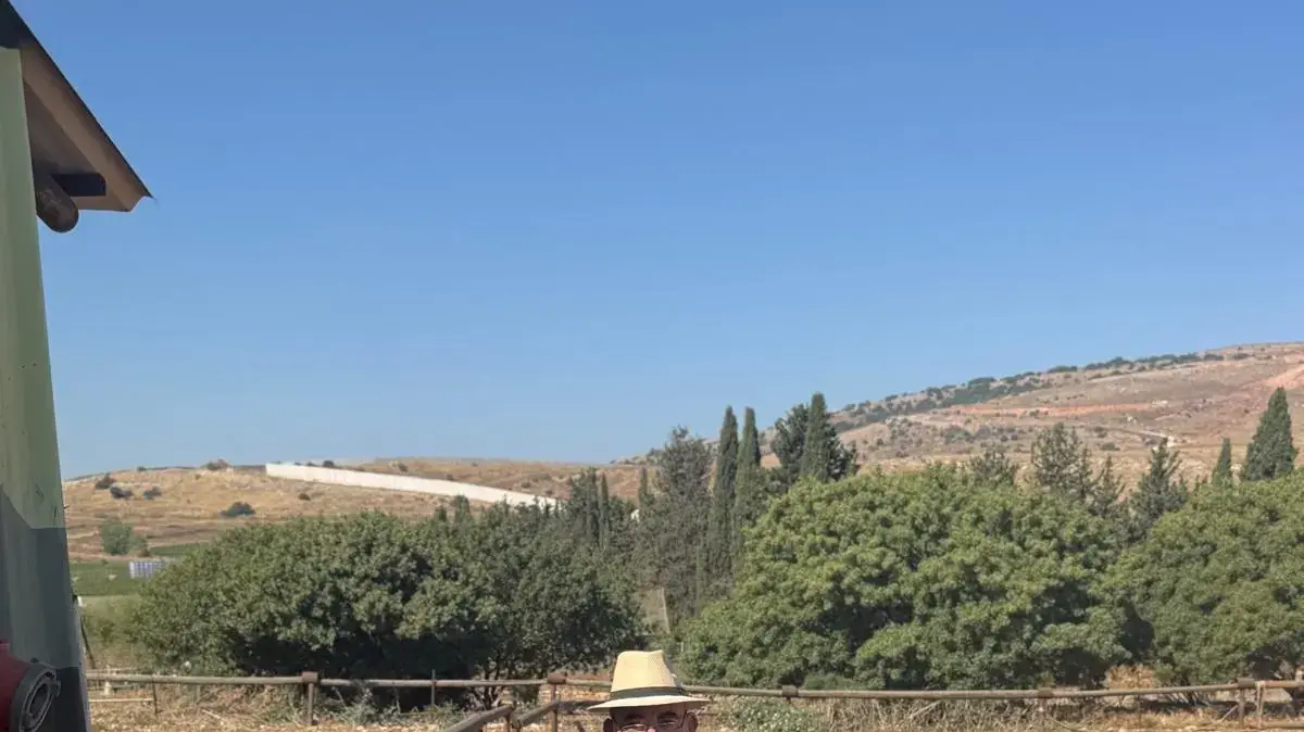 ד"ר מרסלו פייגלשטיין, מחקר זיהוי כאב בסוסים ד"ר מרסלו פייגלשטיין, מחקר זיהוי כאב בסוסים