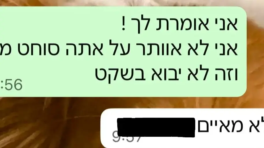 איום על עורכת הדין הפלילית איום על עורכת הדין הפלילית