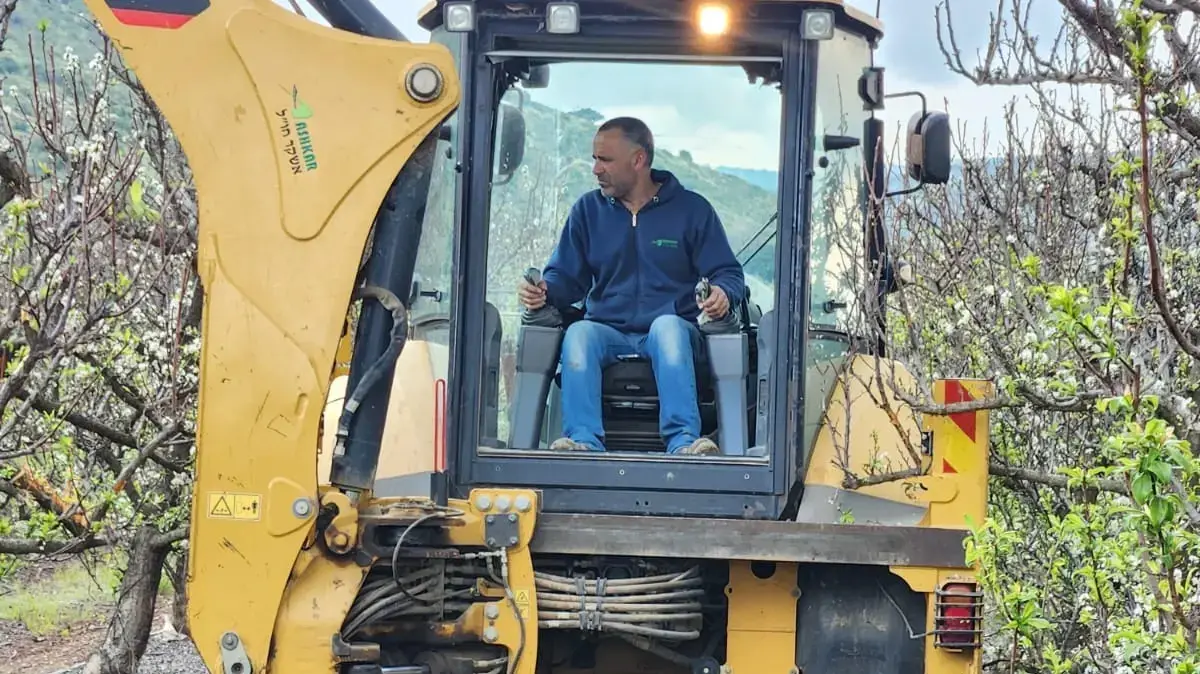 חילוץ נפלים ממטע בעמק החולה חילוץ נפלים ממטע בעמק החולה