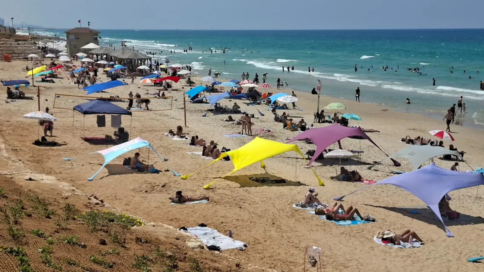 חוף הצוק