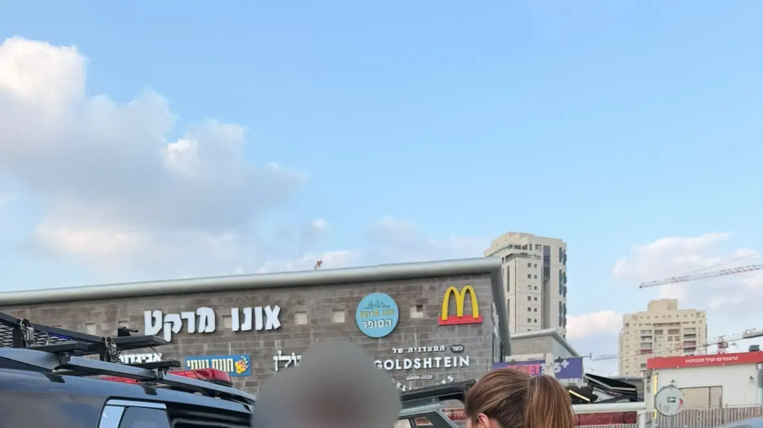 משה אלימלך, החשוד בתקיפת נערת הליווי משה אלימלך, החשוד בתקיפת נערת הליווי