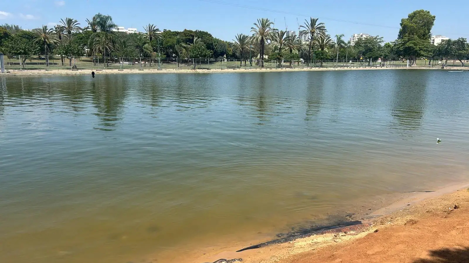פארק דרום בתל אביב. 28 באוגוסט 2026