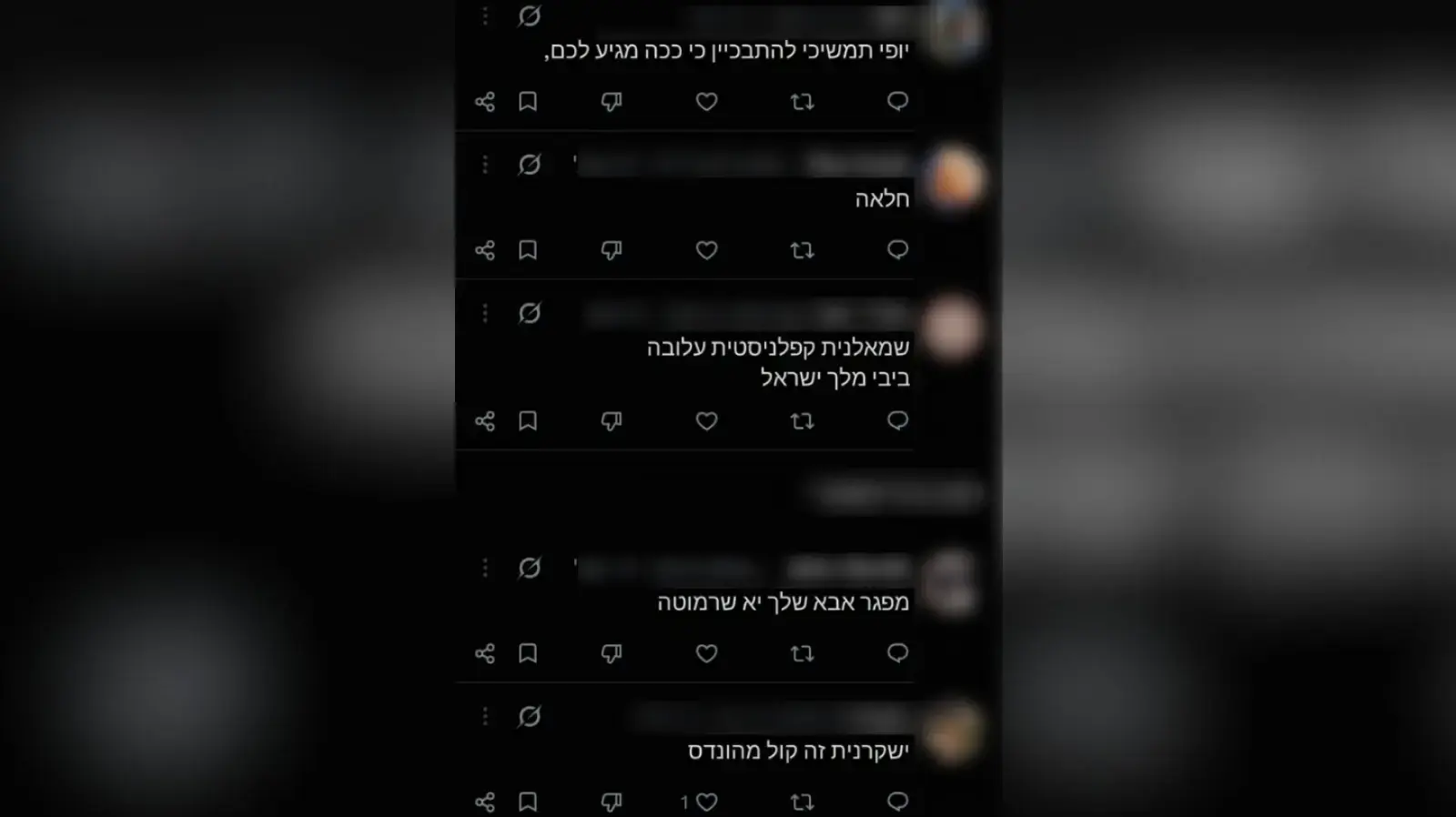 תגובות נגד מעיין שרמן, אימו של רון שרמן תגובות נגד מעיין שרמן, אימו של רון שרמן