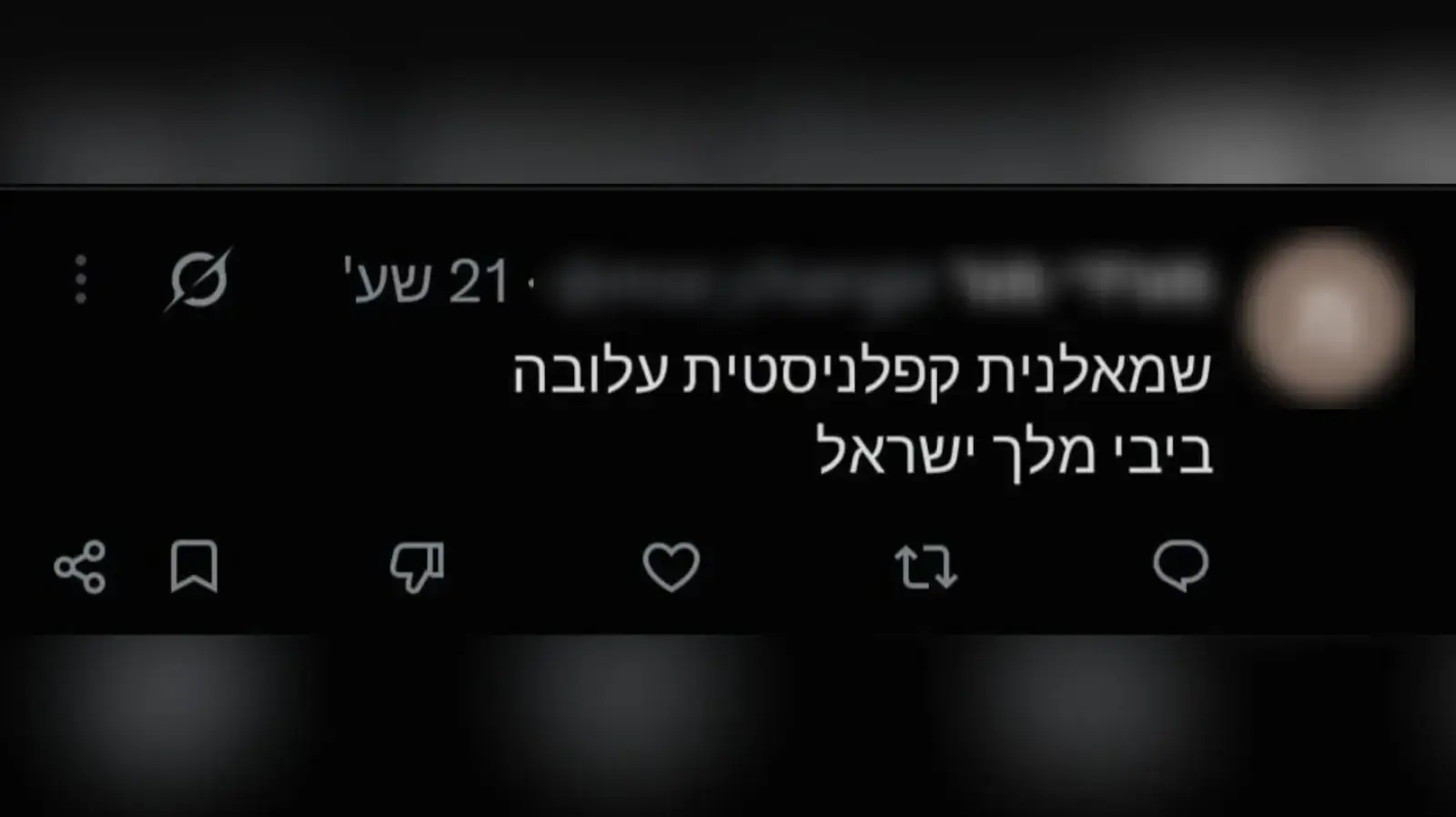 תגובות נגד מעיין שרמן, אימו של רון שרמן