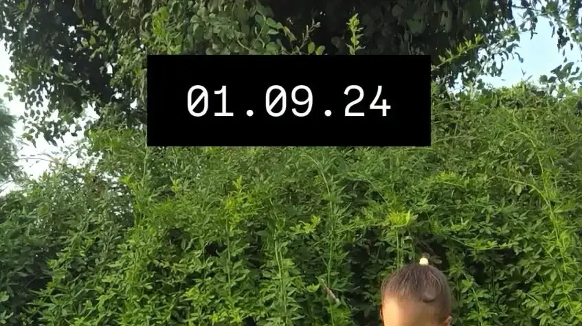 רוני ועלמא מירן רוני ועלמא מירן